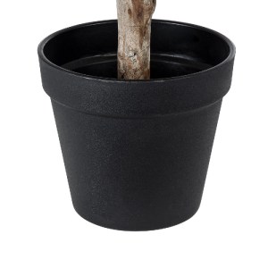 glo-20397-20397_5 GLOBOSTAR® ARTIFICIAL GARDEN FICUS BENJAMINA TREE 20397 ΤΕΧΝΗΤΟ ΔΙΑΚΟΣΜΗΤΙΚΟ ΦΥΤΟ ΦΙΚΟΣ ΜΠ