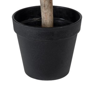 glo-20404-20404_5 GLOBOSTAR® ARTIFICIAL GARDEN BUXUS 20404 ΤΕΧΝΗΤΟ ΔΙΑΚΟΣΜΗΤΙΚΟ ΦΥΤΟ ΠΥΞΟΣ Υ35CM