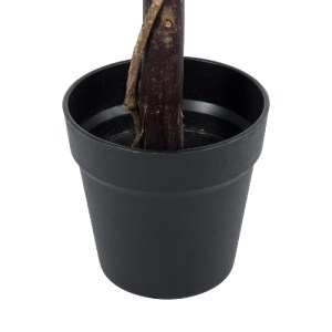 glo-20405-20405_5 GLOBOSTAR® ARTIFICIAL GARDEN BUXUS 20405 ΤΕΧΝΗΤΟ ΔΙΑΚΟΣΜΗΤΙΚΟ ΦΥΤΟ ΠΥΞΟΣ Υ60CM