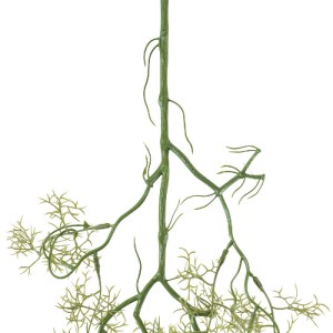 glo-20409-20409_4 GLOBOSTAR® ARTIFICIAL GARDEN EUCALYPTUS HANGING BRANCH 20409 ΤΕΧΝΗΤΟ ΔΙΑΚΟΣΜΗΤΙΚΟ ΚΡΕΜΑΣΤΟ