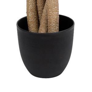 glo-20426-20426_5 GLOBOSTAR® ARTIFICIAL GARDEN PACHIRA GLABRA 20426 ΤΕΧΝΗΤΟ ΔΙΑΚΟΣΜΗΤΙΚΟ ΦΥΤΟ ΠΑΧΙΡΑ ΤΗΣ ΤΥΧ