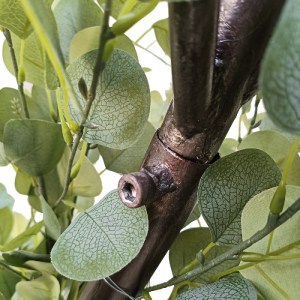 glo-20434-20434_4 GLOBOSTAR® ARTIFICIAL GARDEN EYCALYPTUS CINEREA ARCH 20434 ΤΕΧΝΗΤΗ ΔΙΑΚΟΣΜΗΤΙΚΗ ΑΨΙΔΑ ΕΥΚΑ