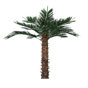 glo-20435-20435_2 GLOBOSTAR® ARTIFICIAL GARDEN COCONUT PALM TREE 20435 ΤΕΧΝΗΤΟ ΔΙΑΚΟΣΜΗΤΙΚΟ ΦΟΙΝΙΚΟΔΕΝΤΡΟ ΚΟ