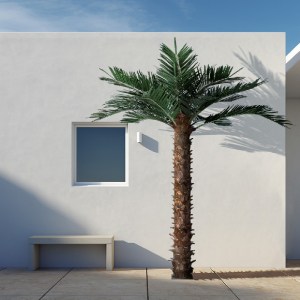 glo-20436-20436 GLOBOSTAR® ARTIFICIAL GARDEN COCONUT PALM TREE 20436 ΤΕΧΝΗΤΟ ΔΙΑΚΟΣΜΗΤΙΚΟ ΦΟΙΝΙΚΟΔΕΝΤΡΟ ΚΟ