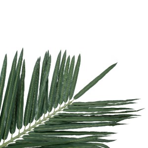 glo-20436-20436_3 GLOBOSTAR® ARTIFICIAL GARDEN COCONUT PALM TREE 20436 ΤΕΧΝΗΤΟ ΔΙΑΚΟΣΜΗΤΙΚΟ ΦΟΙΝΙΚΟΔΕΝΤΡΟ ΚΟ