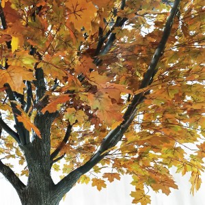 glo-20437-20437_3 GLOBOSTAR® ARTIFICIAL GARDEN ACER RUBRUM SYCAMORE TREE 20437 ΤΕΧΝΗΤΟ ΔΙΑΚΟΣΜΗΤΙΚΟ ΔΕΝΤΡΟ Κ