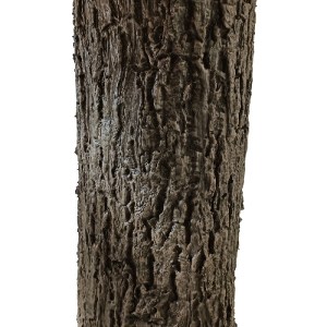 glo-20437-20437_4 GLOBOSTAR® ARTIFICIAL GARDEN ACER RUBRUM SYCAMORE TREE 20437 ΤΕΧΝΗΤΟ ΔΙΑΚΟΣΜΗΤΙΚΟ ΔΕΝΤΡΟ Κ