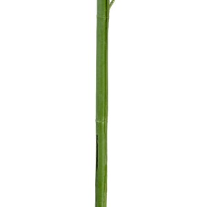 glo-20440-20440_4 GLOBOSTAR® ARTIFICIAL GARDEN BAMBOO BRANCH 20440 ΤΕΧΝΗΤΟ ΔΙΑΚΟΣΜΗΤΙΚΟ ΚΛΑΔΙ ΜΠΑΜΠΟΥ Υ250CM