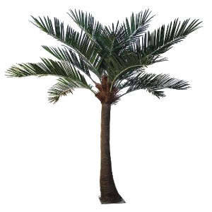 glo-20442-20442_2 GLOBOSTAR® ARTIFICIAL GARDEN COCONUT PALM TREE 20442 ΤΕΧΝΗΤΟ ΔΙΑΚΟΣΜΗΤΙΚΟ ΦΟΙΝΙΚΟΔΕΝΤΡΟ ΚΟ