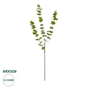 glo-20484-20484_0.webp GLOBOSTAR® ARTIFICIAL GARDEN EUCALYPTUS BRANCH 20484 ΤΕΧΝΗΤΟ ΔΙΑΚΟΣΜΗΤΙΚΟ ΚΛΑΔΙ ΕΥΚΑΛΥΠΤΟΥ