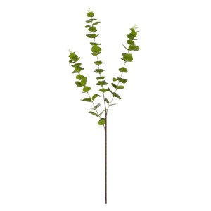 glo-20484-20484_2.webp GLOBOSTAR® ARTIFICIAL GARDEN EUCALYPTUS BRANCH 20484 ΤΕΧΝΗΤΟ ΔΙΑΚΟΣΜΗΤΙΚΟ ΚΛΑΔΙ ΕΥΚΑΛΥΠΤΟΥ