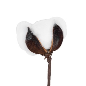 glo-20493-20493_3 GLOBOSTAR® ARTIFICIAL GARDEN COTTON BRANCH 20493 ΤΕΧΝΗΤΟ ΔΙΑΚΟΣΜΗΤΙΚΟ ΚΛΑΔΙ ΒΑΜΒΑΚΙ Υ43CM