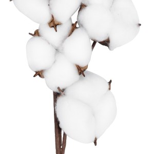 glo-20558-20558_4 GLOBOSTAR® ARTIFICIAL GARDEN COTTON BRANCH 20558 ΤΕΧΝΗΤΟ ΔΙΑΚΟΣΜΗΤΙΚΟ ΚΛΑΔΙ ΒΑΜΒΑΚΙ Υ45CM