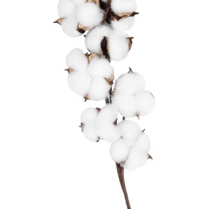 glo-20559-20559_4 GLOBOSTAR® ARTIFICIAL GARDEN COTTON BRANCH 20559 ΤΕΧΝΗΤΟ ΔΙΑΚΟΣΜΗΤΙΚΟ ΚΛΑΔΙ ΒΑΜΒΑΚΙ Y55CM