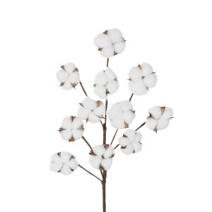 glo-20569-20569_3.webp GLOBOSTAR® ARTIFICIAL GARDEN COTTON BRANCH 20569 ΤΕΧΝΗΤΟ ΔΙΑΚΟΣΜΗΤΙΚΟ ΚΛΑΔΙ ΒΑΜΒΑΚΙ Μ30 X 