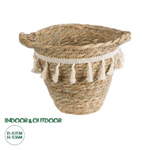 glo-20572-20572_0 GLOBOSTAR® ARTIFICIAL GARDEN SANTORINI 20572 ΔΙΑΚΟΣΜΗΤΙΚΟ ΠΛΕΚΤΟ ΚΑΣΠΩ ΓΛΑΣΤΡΑ - FLOWER PO