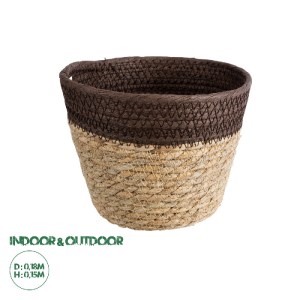 glo-20574-20574_0 GLOBOSTAR® ARTIFICIAL GARDEN LEFKADA 20574 ΔΙΑΚΟΣΜΗΤΙΚΟ ΠΛΕΚΤΟ ΚΑΣΠΩ ΓΛΑΣΤΡΑ - FLOWER POT 