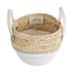 glo-20576-20576_3 GLOBOSTAR® ARTIFICIAL GARDEN SANTORINI 20576 ΔΙΑΚΟΣΜΗΤΙΚΟ ΠΛΕΚΤΟ ΚΑΣΠΩ ΓΛΑΣΤΡΑ - FLOWER PO