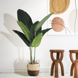glo-20578-d97072_20025_20578 GLOBOSTAR® ARTIFICIAL GARDEN CAROLINA 20578 ΔΙΑΚΟΣΜΗΤΙΚΟ ΠΛΕΚΤΟ ΚΑΣΠΩ ΓΛΑΣΤΡΑ - FLOWER POT