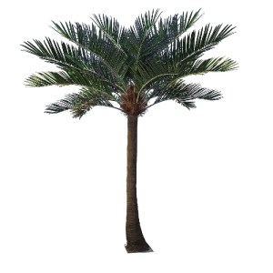 glo-20594-20594_2 GLOBOSTAR® ARTIFICIAL GARDEN COCONUT PALM TREE 20594 ΤΕΧΝΗΤΟ ΔΙΑΚΟΣΜΗΤΙΚΟ ΦΟΙΝΙΚΟΔΕΝΤΡΟ ΚΟ