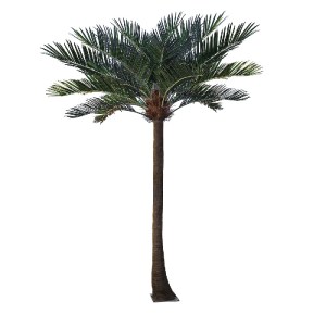 glo-20595-20595_2 GLOBOSTAR® ARTIFICIAL GARDEN COCONUT PALM TREE 20595 ΤΕΧΝΗΤΟ ΔΙΑΚΟΣΜΗΤΙΚΟ ΦΟΙΝΙΚΟΔΕΝΤΡΟ ΚΟ
