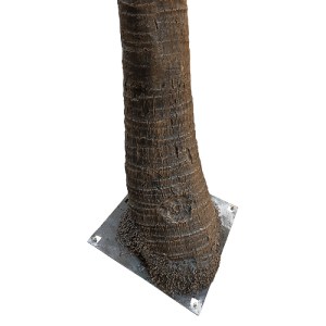 glo-20595-20595_3 GLOBOSTAR® ARTIFICIAL GARDEN COCONUT PALM TREE 20595 ΤΕΧΝΗΤΟ ΔΙΑΚΟΣΜΗΤΙΚΟ ΦΟΙΝΙΚΟΔΕΝΤΡΟ ΚΟ