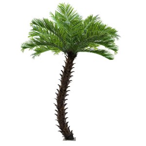 glo-20596-20596_2 GLOBOSTAR® ARTIFICIAL GARDEN PHOENIX ROEBELENII PALM TREE 20596 ΤΕΧΝΗΤΟ ΔΙΑΚΟΣΜΗΤΙΚΟ ΦΥΤΟ 