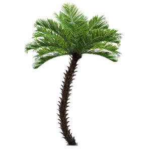 glo-20597-20597_2 GLOBOSTAR® ARTIFICIAL GARDEN PHOENIX ROEBELENII PALM TREE 20597 ΤΕΧΝΗΤΟ ΔΙΑΚΟΣΜΗΤΙΚΟ ΦΥΤΟ 
