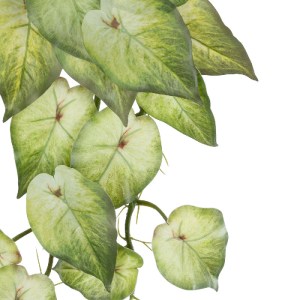 glo-20598-20598_3 GLOBOSTAR® ARTIFICIAL GARDEN SYNGONIUM HANGING PLANT 20598 ΤΕΧΝΗΤΟ ΔΙΑΚΟΣΜΗΤΙΚΟ ΚΡΕΜΑΣΤΟ Φ
