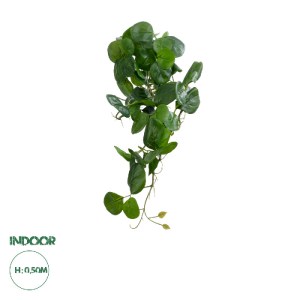 glo-20599-20599_0 GLOBOSTAR® ARTIFICIAL GARDEN HANGING PEPEROMIA 20599 ΤΕΧΝΗΤΟ ΔΙΑΚΟΣΜΗΤΙΚΟ ΚΡΕΜΑΣΤΟ ΦΥΤΟ ΠΕ