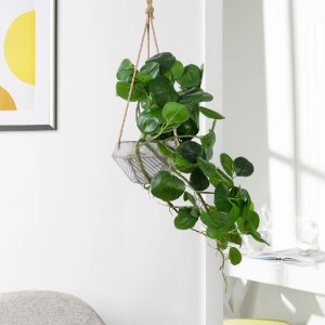 glo-20599-20599_20490 GLOBOSTAR® ARTIFICIAL GARDEN HANGING PEPEROMIA 20599 ΤΕΧΝΗΤΟ ΔΙΑΚΟΣΜΗΤΙΚΟ ΚΡΕΜΑΣΤΟ ΦΥΤΟ ΠΕ