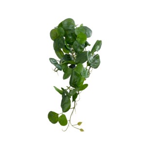 glo-20599-20599_2 GLOBOSTAR® ARTIFICIAL GARDEN HANGING PEPEROMIA 20599 ΤΕΧΝΗΤΟ ΔΙΑΚΟΣΜΗΤΙΚΟ ΚΡΕΜΑΣΤΟ ΦΥΤΟ ΠΕ