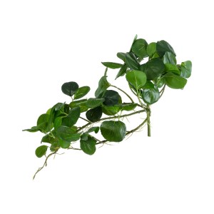 glo-20599-20599_3 GLOBOSTAR® ARTIFICIAL GARDEN HANGING PEPEROMIA 20599 ΤΕΧΝΗΤΟ ΔΙΑΚΟΣΜΗΤΙΚΟ ΚΡΕΜΑΣΤΟ ΦΥΤΟ ΠΕ