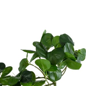 glo-20599-20599_4 GLOBOSTAR® ARTIFICIAL GARDEN HANGING PEPEROMIA 20599 ΤΕΧΝΗΤΟ ΔΙΑΚΟΣΜΗΤΙΚΟ ΚΡΕΜΑΣΤΟ ΦΥΤΟ ΠΕ