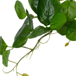 glo-20599-20599_5 GLOBOSTAR® ARTIFICIAL GARDEN HANGING PEPEROMIA 20599 ΤΕΧΝΗΤΟ ΔΙΑΚΟΣΜΗΤΙΚΟ ΚΡΕΜΑΣΤΟ ΦΥΤΟ ΠΕ