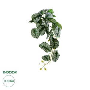 glo-20601-20601_0 GLOBOSTAR® ARTIFICIAL GARDEN HANGING ALOCASIA 20601 ΤΕΧΝΗΤΟ ΔΙΑΚΟΣΜΗΤΙΚΟ ΚΡΕΜΑΣΤΟ ΦΥΤΟ ΑΛΟ