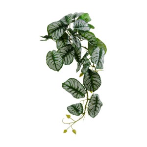 glo-20601-20601_2 GLOBOSTAR® ARTIFICIAL GARDEN HANGING ALOCASIA 20601 ΤΕΧΝΗΤΟ ΔΙΑΚΟΣΜΗΤΙΚΟ ΚΡΕΜΑΣΤΟ ΦΥΤΟ ΑΛΟ