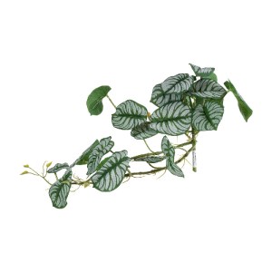 glo-20601-20601_3 GLOBOSTAR® ARTIFICIAL GARDEN HANGING ALOCASIA 20601 ΤΕΧΝΗΤΟ ΔΙΑΚΟΣΜΗΤΙΚΟ ΚΡΕΜΑΣΤΟ ΦΥΤΟ ΑΛΟ