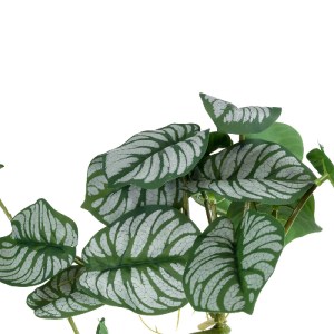 glo-20601-20601_4 GLOBOSTAR® ARTIFICIAL GARDEN HANGING ALOCASIA 20601 ΤΕΧΝΗΤΟ ΔΙΑΚΟΣΜΗΤΙΚΟ ΚΡΕΜΑΣΤΟ ΦΥΤΟ ΑΛΟ