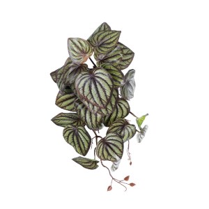 glo-20602-20602_2 GLOBOSTAR® ARTIFICIAL GARDEN PEPEROMIA HANGING PLANT 20602 ΤΕΧΝΗΤΟ ΔΙΑΚΟΣΜΗΤΙΚΟ ΚΡΕΜΑΣΤΟ Φ