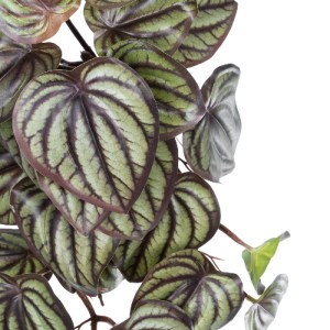glo-20602-20602_3 GLOBOSTAR® ARTIFICIAL GARDEN PEPEROMIA HANGING PLANT 20602 ΤΕΧΝΗΤΟ ΔΙΑΚΟΣΜΗΤΙΚΟ ΚΡΕΜΑΣΤΟ Φ