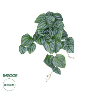 glo-20603-20603_0 GLOBOSTAR® ARTIFICIAL GARDEN PEPEROMIA HANGING PLANT 20603 ΤΕΧΝΗΤΟ ΔΙΑΚΟΣΜΗΤΙΚΟ ΚΡΕΜΑΣΤΟ Φ