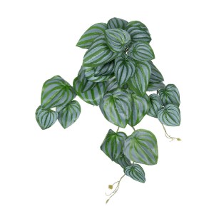 glo-20603-20603_2 GLOBOSTAR® ARTIFICIAL GARDEN PEPEROMIA HANGING PLANT 20603 ΤΕΧΝΗΤΟ ΔΙΑΚΟΣΜΗΤΙΚΟ ΚΡΕΜΑΣΤΟ Φ