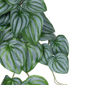 glo-20603-20603_3 GLOBOSTAR® ARTIFICIAL GARDEN PEPEROMIA HANGING PLANT 20603 ΤΕΧΝΗΤΟ ΔΙΑΚΟΣΜΗΤΙΚΟ ΚΡΕΜΑΣΤΟ Φ