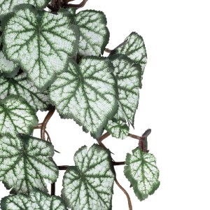glo-20604-20604_3 GLOBOSTAR® ARTIFICIAL GARDEN REX BEGONIA HANGING PLANT 20604 ΤΕΧΝΗΤΟ ΔΙΑΚΟΣΜΗΤΙΚΟ ΚΡΕΜΑΣΤΟ