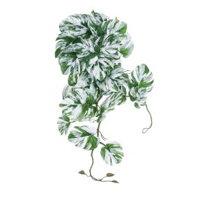 glo-20606-20606_2 GLOBOSTAR® ARTIFICIAL GARDEN ALBINO MONSTERA HANGING PLANT 20606 - ΤΕΧΝΗΤΟ ΔΙΑΚΟΣΜΗΤΙΚΟ ΚΡ