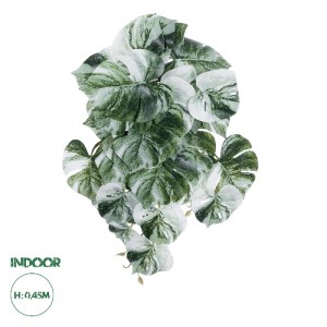 glo-20609-20609_0 GLOBOSTAR® ARTIFICIAL GARDEN ALBINO MONSTERA HANGING PLANT 20609 - ΤΕΧΝΗΤΟ ΔΙΑΚΟΣΜΗΤΙΚΟ ΚΡ