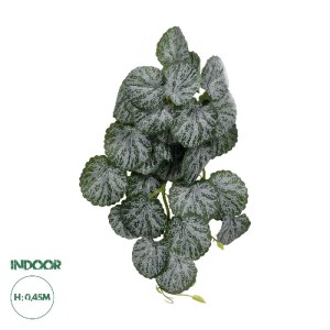 glo-20611-20611_0.webp GLOBOSTAR® ARTIFICIAL GARDEN BEGONIA 20611 ΤΕΧΝΗΤΟ ΚΡΕΜΑΣΤΟ ΔΙΑΚΟΣΜΗΤΙΚΟ ΦΥΤΟ ΒΙΓΟΝΙΑ Μ30 