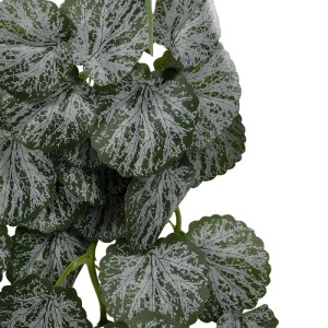 glo-20611-20611_3.webp GLOBOSTAR® ARTIFICIAL GARDEN BEGONIA 20611 ΤΕΧΝΗΤΟ ΚΡΕΜΑΣΤΟ ΔΙΑΚΟΣΜΗΤΙΚΟ ΦΥΤΟ ΒΙΓΟΝΙΑ Μ30 