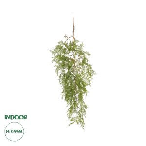 glo-20620-20620_0.webp GLOBOSTAR® ARTIFICIAL GARDEN HANGING FERN 20620 ΤΕΧΝΗΤΟ ΔΙΑΚΟΣΜΗΤΙΚΟ ΚΡΕΜΑΣΤΟ ΦΥΤΟ ΦΤΕΡΗΣ 